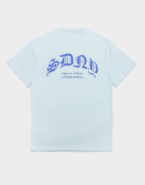 เสื้อยืดผู้หญิง Skate